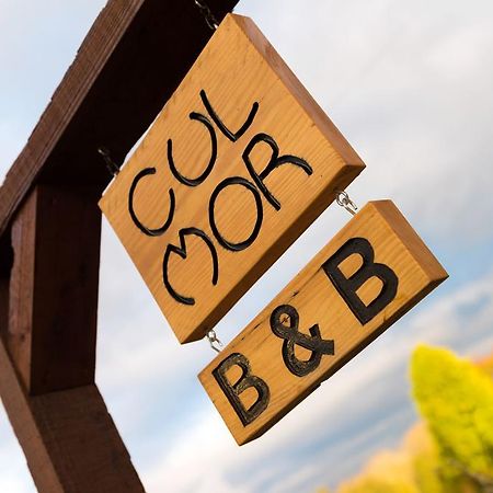 Cul Mor B&B Eccleshall Екстериор снимка